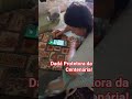 Dadá guardiã da Centenária