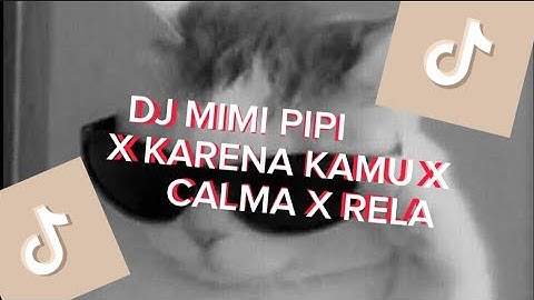 DJ MIMI PIPI X KARENA KAMU X CALMA X RELA FULL SONG MAMAN FVNDY VIRAL 2023