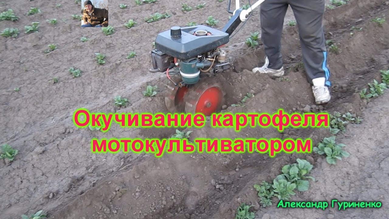 Окучивание картофеля мотокультиватором - YouTube