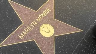 A Tribute To Marilyn Monroe