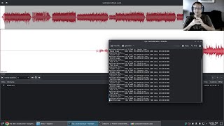 My Digitizing Vinyl Process (using an external recorder and Linux)