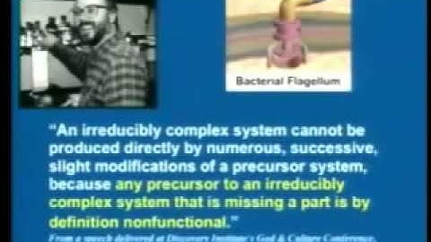 Irreducible Complexity (bacterial flagellum) debunked