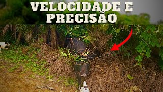 O JAVALI ATACOU! | JAVALI BRASIL