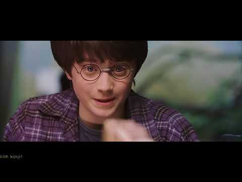 Harry Potter Felsefe Taşı - Harry yılanla konuşuyor - HD(Türkçe Dublaj)