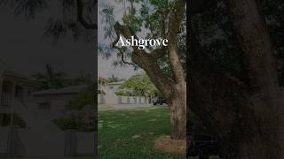 Walkthrough | Ashgrove, Brisbane