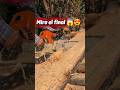 Por esta razón no me gustan las motosierras STHIL 😱 #chainsaw #sthil #madera #asmr #woodworking