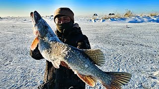картинка: Первый лёд 2024-2025 с трофеем...