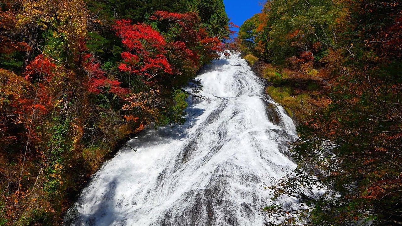Наслаждайтесь поездкой по осенним листьям Оку-Никко!