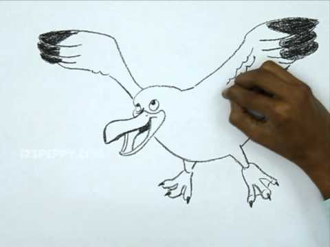How To Draw A Seagull Step By Step