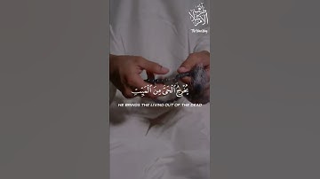 Surah Ar-Rum 17-19 | Qari Abdul Rahman mossad سورة الروم 17-19 |  قاري عبد الرحمن مسعد
