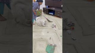 Chart Bottle Ron Kacasey Hua Peeke Tali