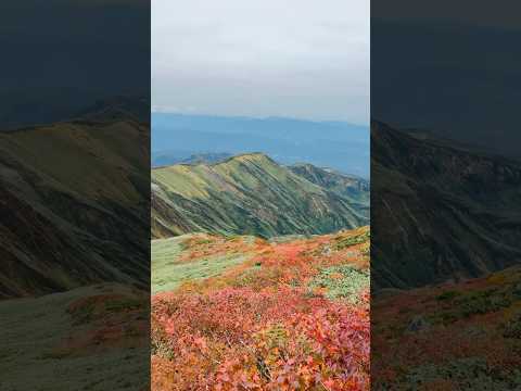 The Start of Autumn begins with the red mountain peaks🌙秋の始まりは月山