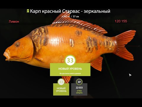 #рр4 #русская рыбалка 4 #янтарное #фарм без ПВА! 8.10.22