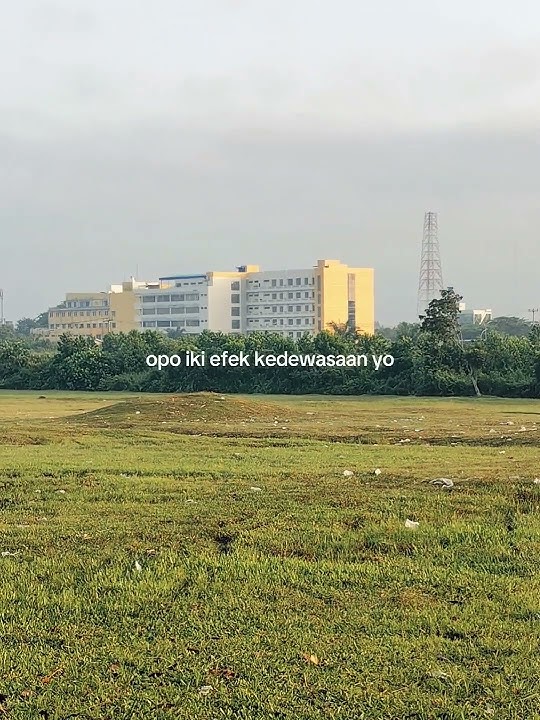 Story of the Day | Efek Kedewasaan #storywa #storyjawa #katakatabijakbahasajawa