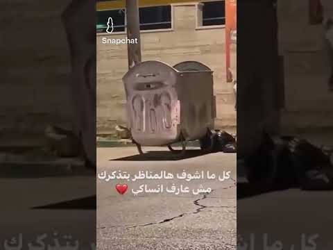 هيهيهي لسا الشوارع بتذكرني فيكي 