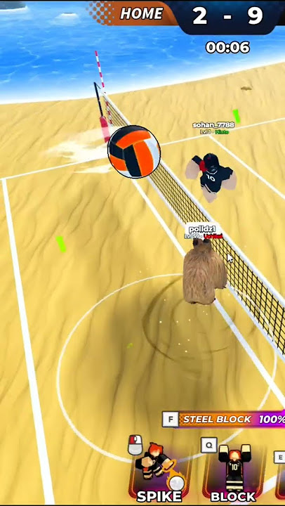 Best newbie ever-volleyball legand