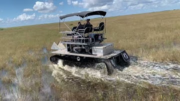 Fulltrack swamp buggies riding in the Everglades