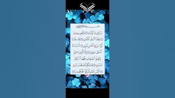 سورة التين {والتين والزيتون}