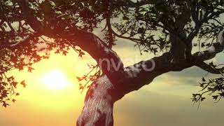 Concept Of Changing Of The Seasons From Summer To Autumn | Motion Graphics - Envato elements