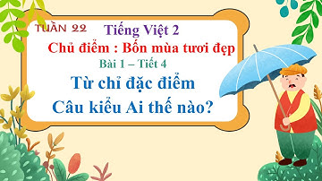 TUẦN 21  BÀI 1  T4 TỪ CHỈ ĐẶC ĐIỂM  CÂU KIỂU AI THẾ NÀO
