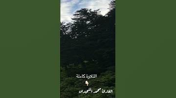 من روائع العشائيات الخاشعة لأجمل ترتيل تسمعها من داخل الجامع للقارئ #محمد_اللحيدان #راحة_نفسية