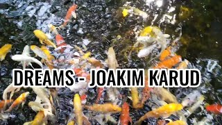 DREAMS - JOAKIM KARUD