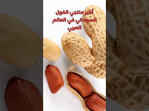 أكبر منتجي الفول السوداني في العالم العربي انتاج السودان مصر المغرب الجزائر تونس  عرب