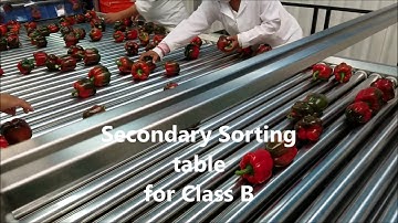 Eshet Combinatory Sizer