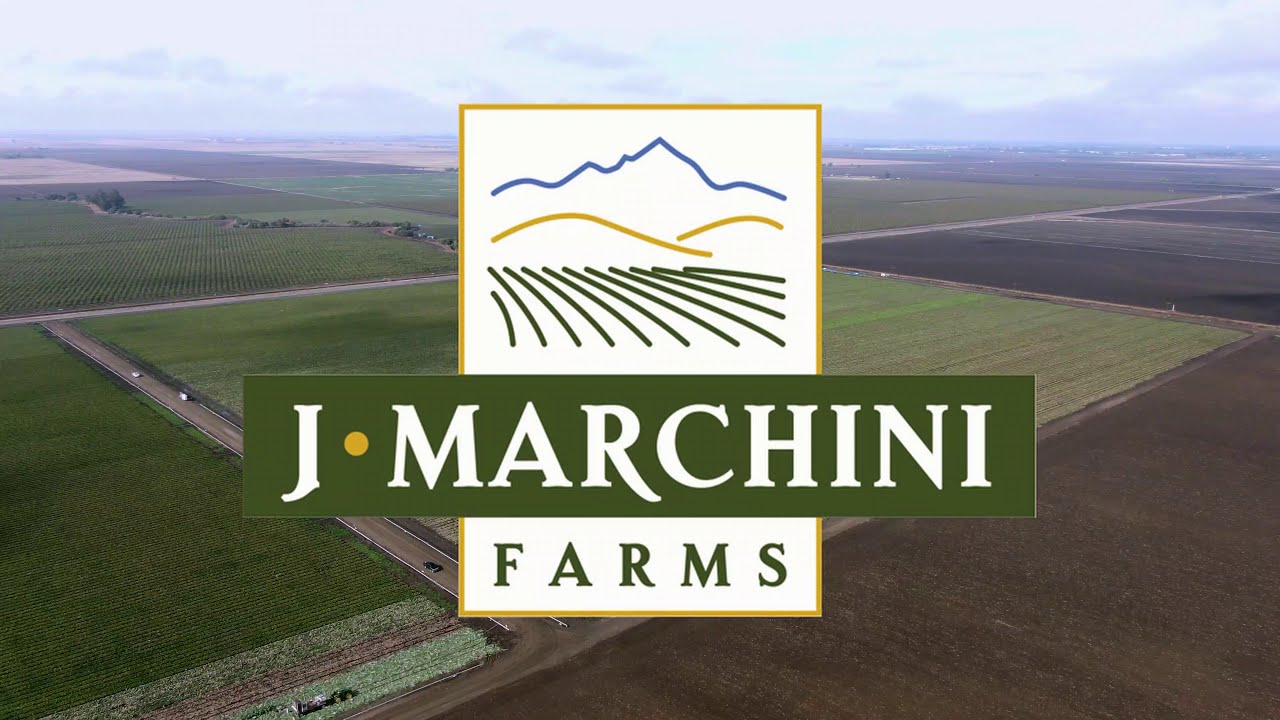 J. Marchini Farms What We Do YouTube