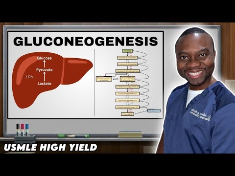 Gluconeogenesis Demystified | USMLE Biochem Crash Course