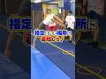 【コラボ】バク転で指定された場所に着地しろ🤣#shorts