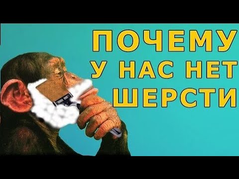 КАК МЫ ПОТЕРЯЛИ ШЕРСТЬ