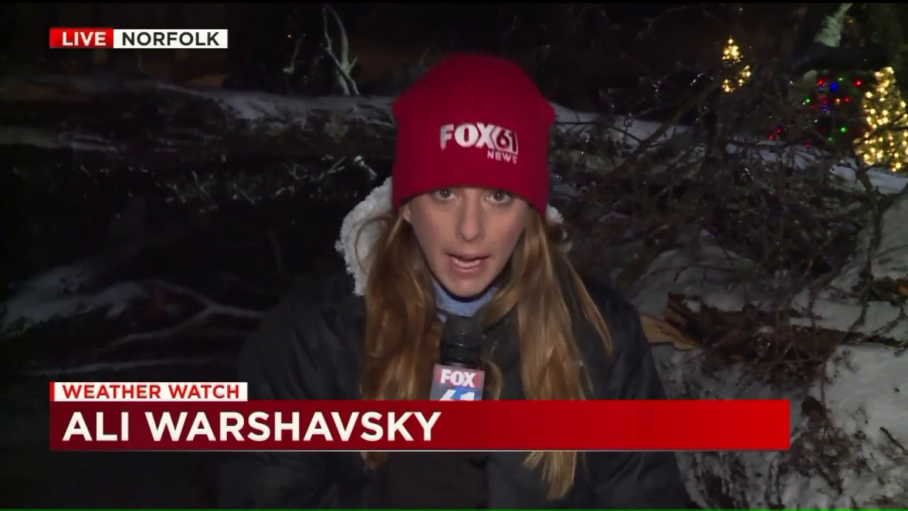 Winter storm damage in Norfolk, CT