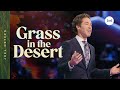 Grass In The Desert | Joel Osteen