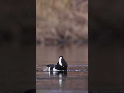 Photographing a male