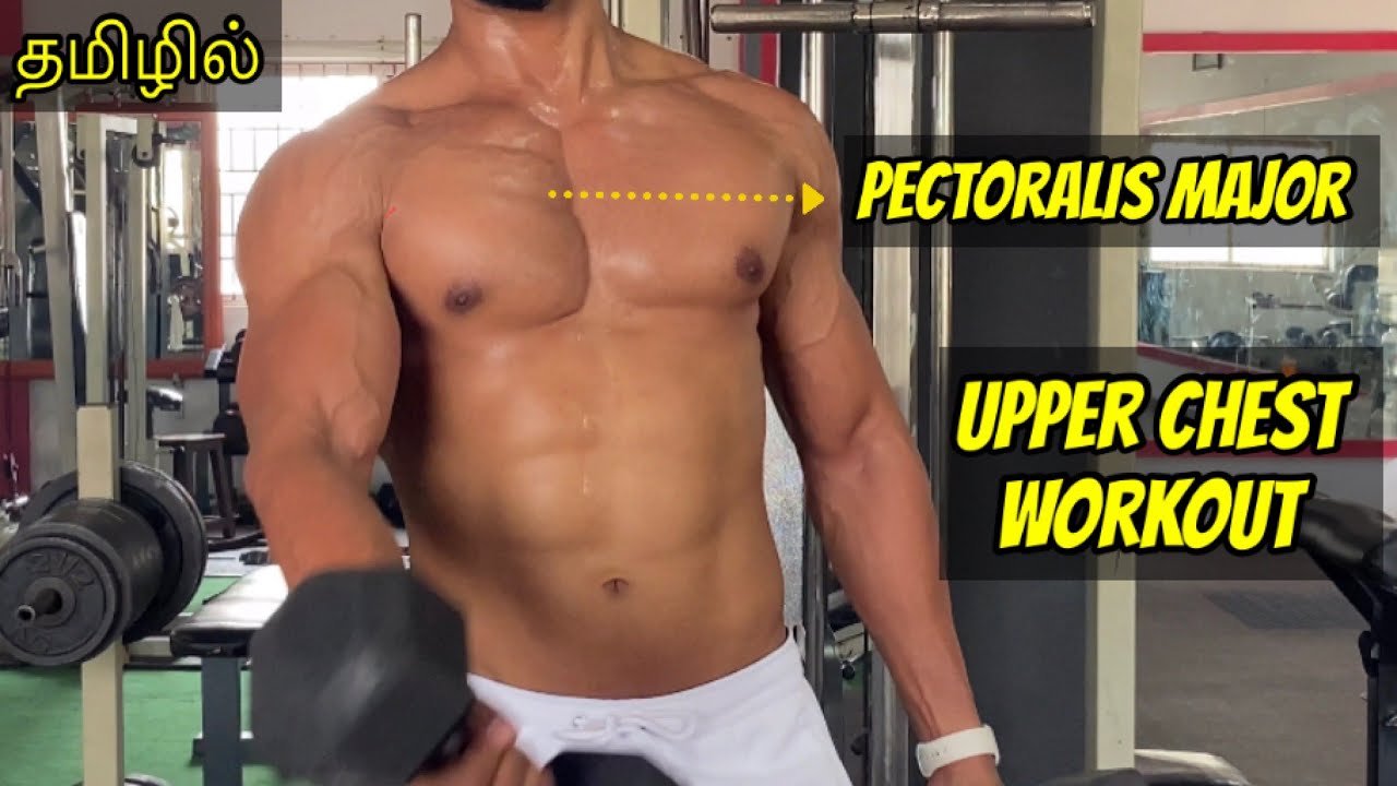 Upper Chest Workout Tamil YouTube Upper Chest Workout Tamil YouTube