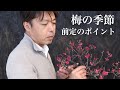 梅の季節、前定のポイント [盆栽・初心者]