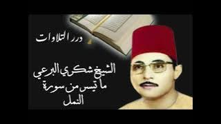 الشيخ شكري البرعي ما تيسر من سورة النمل