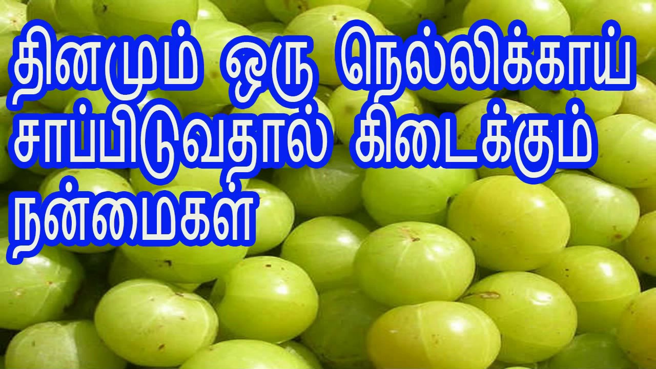 Image result for நெல்லிக்காய்