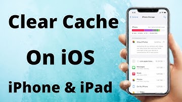 How to Clear Cache on iPhone | Safari Apps | How to Delete App Cache on iPad | 2022 | iOS 16