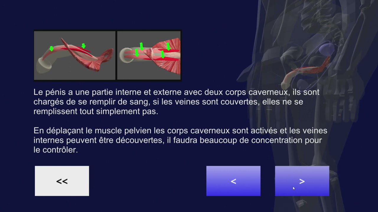 exercices-pour-am-liorer-l-rection-chez-les-hommes-youtube