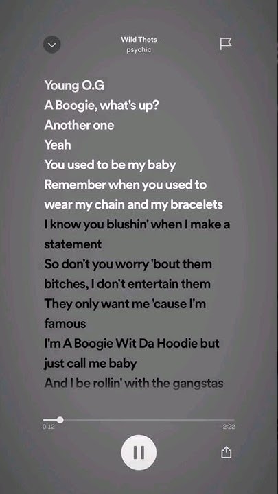 A Boogie Wit Da Hoodie Wild Thots Lyrics sped up tiktok audios ♡ (wild thots-a boogie wit da hoodie) #