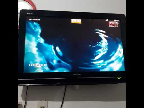 Mousehunt - HITS Movies Intro