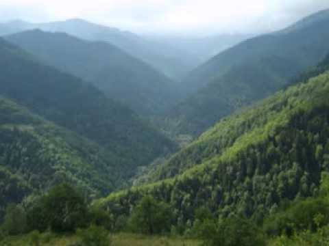 საეკლესიო კალენდარი - 13/02/2013