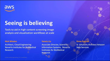 Novartis NIBR: Tools to Aid in High Content Screening Image Analysis and Visualization Workflows