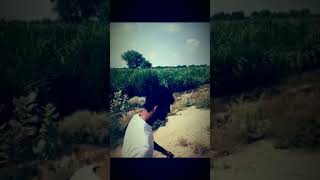 Agricultural Plant Protection Uav -Sunwin Intelligent