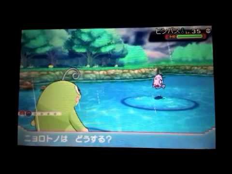 ポケモン oras 違い