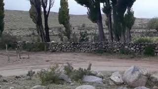 Los Morteritos, Las Cuevas ( Catamarca ) Argentina