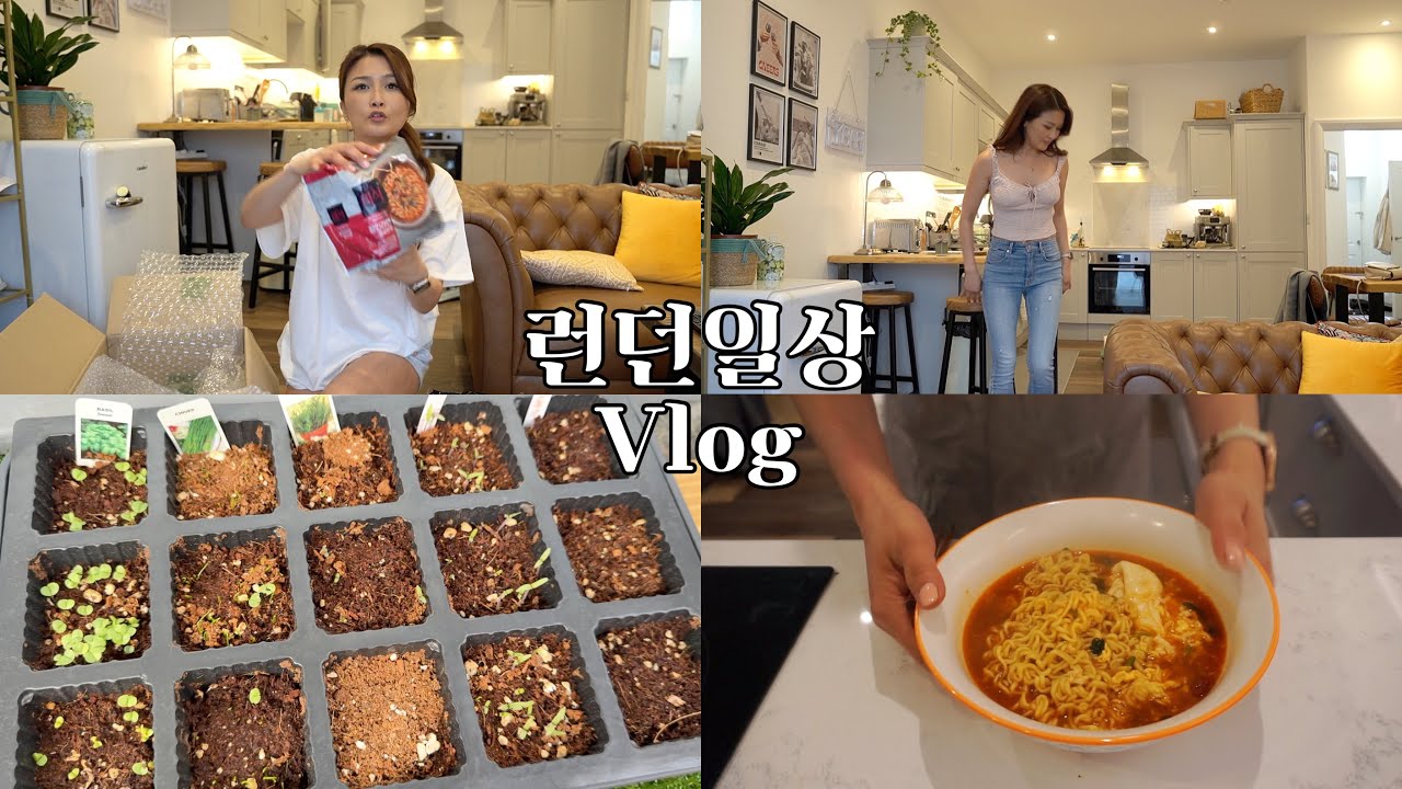 아파서 우울했던 한주..영국에서 귀한 한국깻잎,부추 심기! 한국에서 도착한 신상라면,과자 개봉기! 더미식 장인라면 리뷰!영국 하이스트릿 브랜드 옷 쇼핑,하울