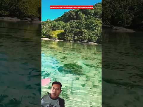 Searching the Jungle for WWII Battlefields (6 Days Fishing, Kayaking & Snorkeling in Palau) #travel